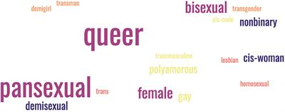 Co-creation of a training for community health workers to enhance skills in serving LGBTQIA+ communities